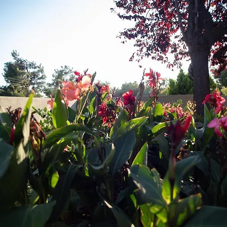 8 Boutique 4* 尼坡帝