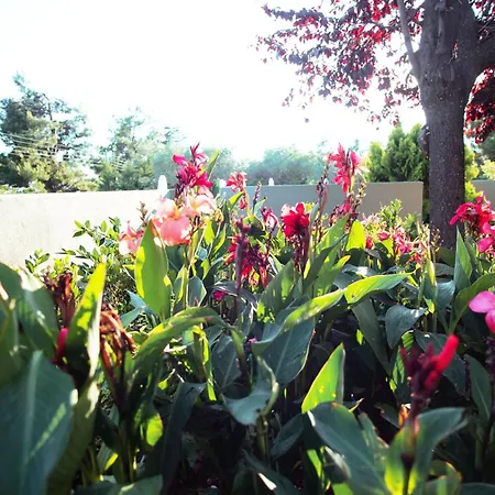 公寓式酒店 8 Boutique 尼坡帝