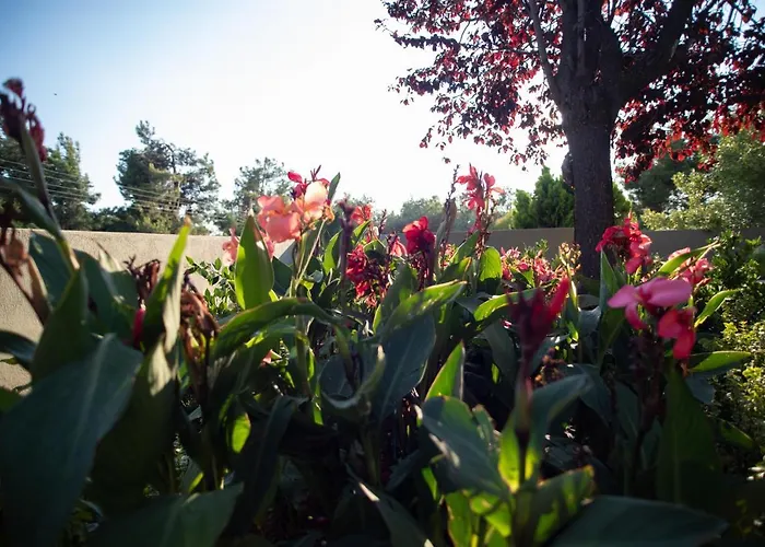 8 Boutique 4* Nea Poteidaia